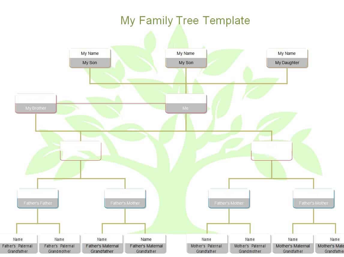 12+ BEST Family Tree Word Templates - Excel Templates