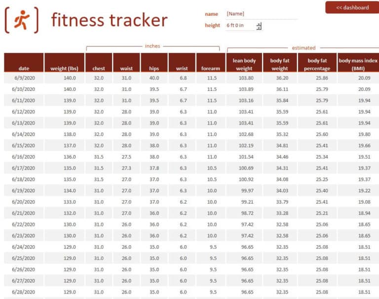 weight and body fat tracker excel